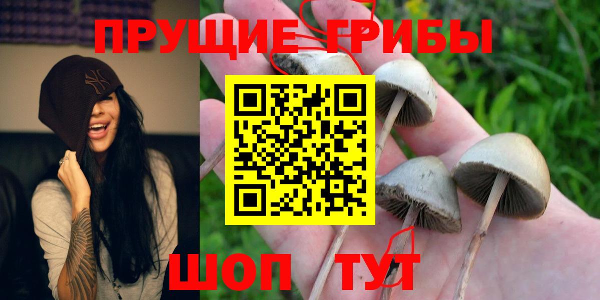 купить закладку  Галлюциногенные грибы мицелий  Кандалакша  Вход с VPN  Галлюциногенные грибы мухоморы 